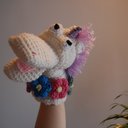 The Myth's and the Mythed